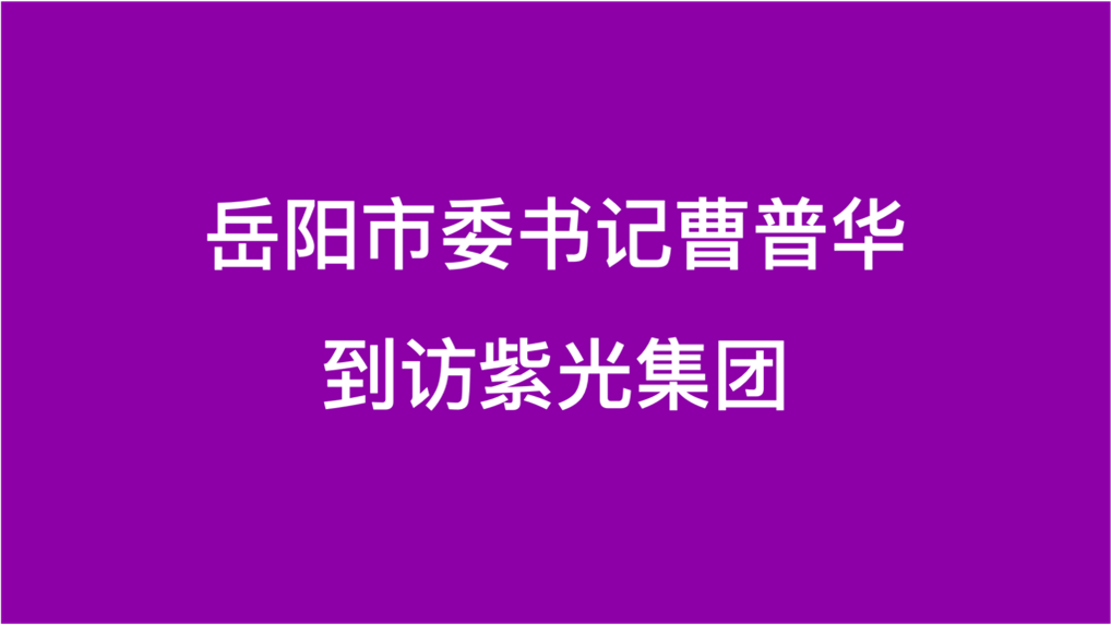 岳阳市委书记曹普华到访尊龙凯时集团